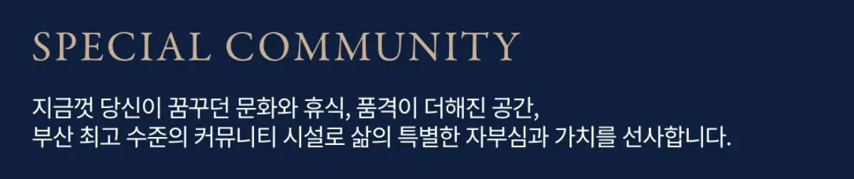 커뮤니티