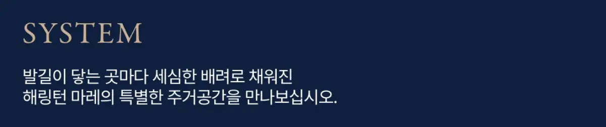 특화시스템